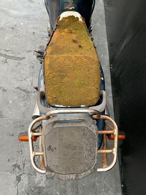 YAMAHA XJ600 DIVERSION 1994 PROJECT BIKE HPI CLEAR